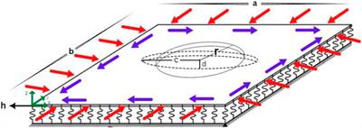 Buckling response of functionally graded multilayer graphene platelet-reinforced composite plates with circular/elliptical cutouts supporting on an elastic foundation under normal and shear loads